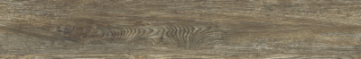 GRS12_21S_Arbel_Bubinga