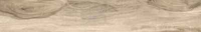 ID9098n036SR_1