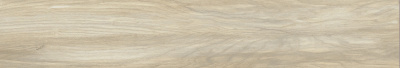 GRS13_04s_20x120_1