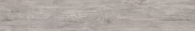 ID9096n119SR_2