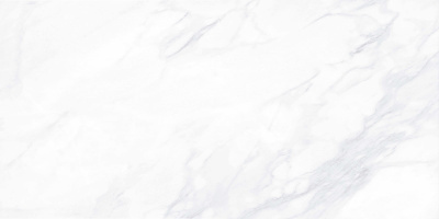 g281_600x1200_1