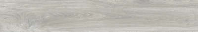 GRS11_19S_Ajanta_Acacia