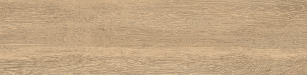 ID9065p052SR_7