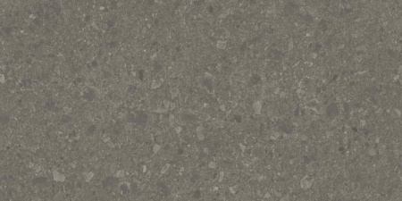 DD508120R_60х119,5_5_21