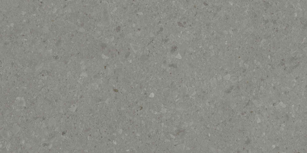 DD507920R_60х119,5_4_4