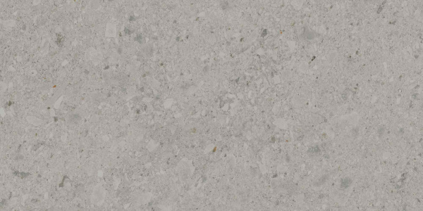 DD591400R_119,5х238,5_6_22