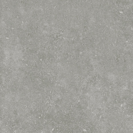 gloria_grey_60_60_10