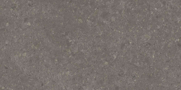 DD591700R_119,5х238,5_7_15