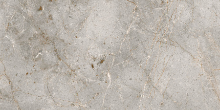 bardiglio_classic_60_120_8